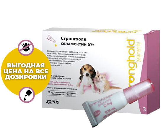 Стронгхолд по привлекательным ценам