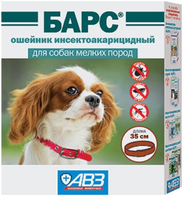 Ошейник Барс для собак мелких пород, 35 см купить по низкой цене с  доставкой - БиоСтайл