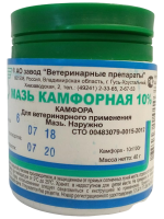 Мазь камфорная 10%, 40 г