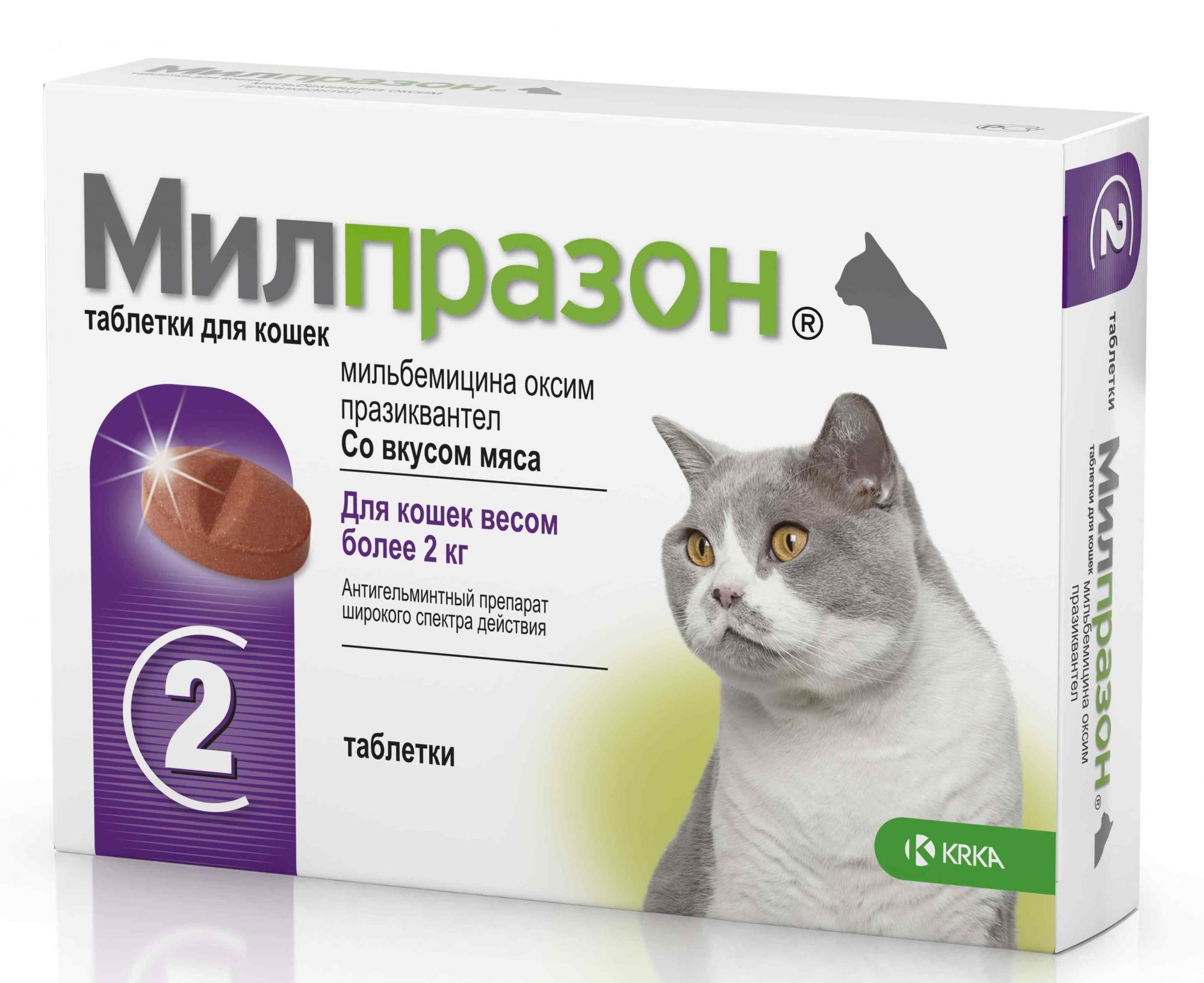 Милпразон ® таблетки для кошек более 2 кг. 40 мг. 2 таб. в упак. купить по  низкой цене с доставкой - БиоСтайл