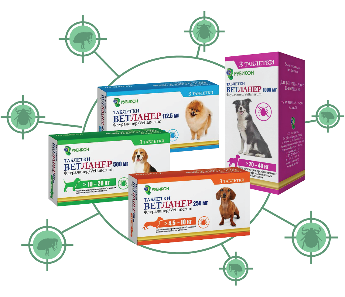12 недель защиты от блох и клещей с Ветланер