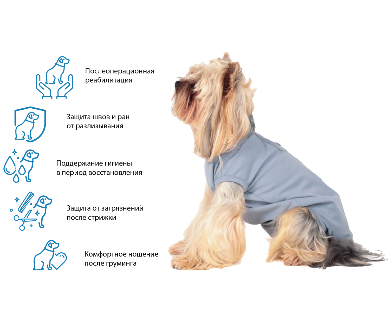 Новинки сезона