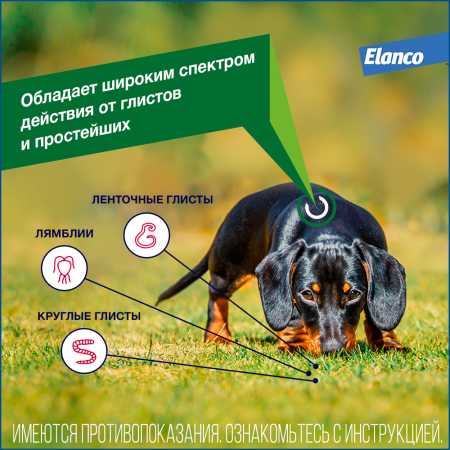 фото Препарат от глистов Elanco Дронтал плюс для собак 6 таб. в упак.