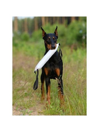 фото Кусалка для собак с двумя ручками OSSO 40см