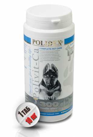 Polidex ® "Поливит Кальций плюс" для собак упаковка, 300 таб