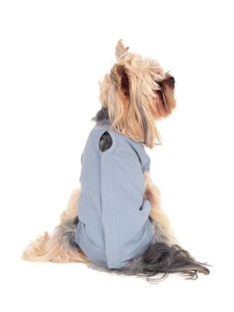 фото Попона послеоперационная БиоСтайл для кошек и собак, Трико на липучке р.L (6-8 кг)