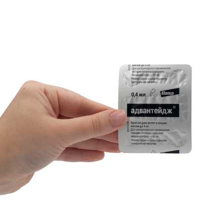 Капли от блох Elanco Адвантейдж ® 40 для кошек до 4 кг 1 пипетка, в упаковке фото Капли от блох Elanco Адвантейдж ® 40 для кошек до 4 кг 1 пипетка, в упаковке