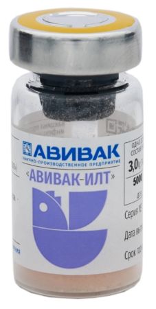 Вакцина АВИВАК-ИЛТ против инфекционного ларинготрахеита птиц живая сухая, 10 мл (5000 доз/фл)