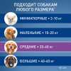 фото Фронтлайн Спот-он для собак 20-40 кг (L) для защиты от клещей, блох в форме капель