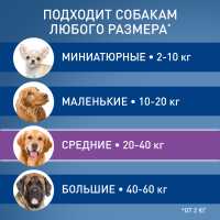 10-123636-preview