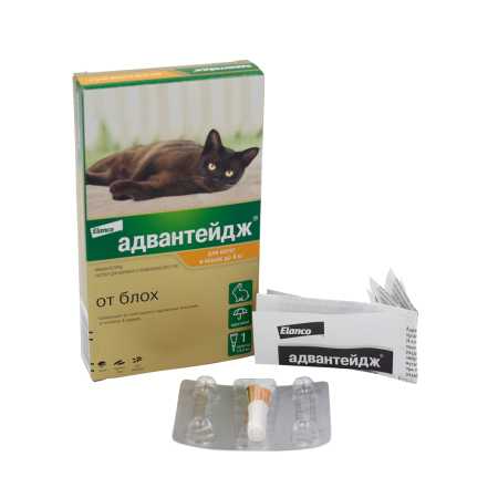 Капли от блох Elanco Адвантейдж ® 40 для кошек до 4 кг 1 пипетка, в упаковке фото Капли от блох Elanco Адвантейдж ® 40 для кошек до 4 кг 1 пипетка, в упаковке