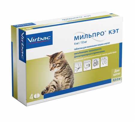 Антигельминтное средство Virbac Мильпро  кэт для  котят и маленьких кошек упаковка, 4 таб