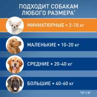 10-123638-preview