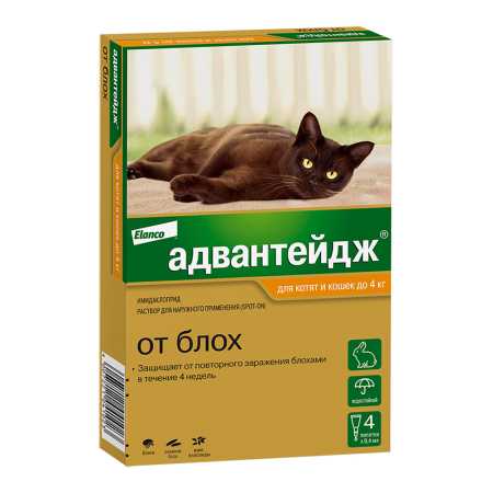 Адвантейдж ® 40 для кошек до 4 кг 4 пипетки, в упаковке