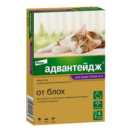Адвантейдж ® 80 для кошек от 4 кг 4 пипетки, в упаковке