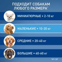 10-123637-preview