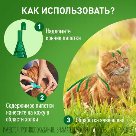 Фронтлайн Комбо для кошек и хорьков для защиты от клещей, блох в форме капель фото Фронтлайн Комбо для кошек и хорьков для защиты от клещей, блох в форме капель