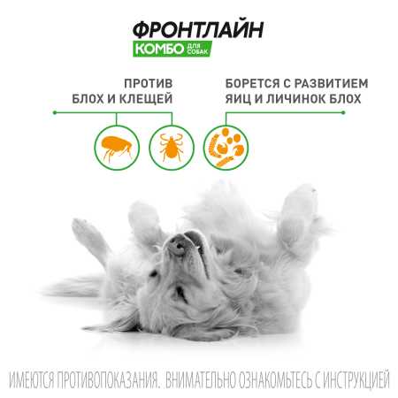 фото Фронтлайн Комбо для собак 40-60 кг (XL) для защиты от клещей, блох в форме капель