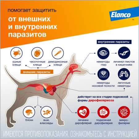 Капли от блох, чесоточных клещей и гельминтов Адвокат ® для собак 10-25 кг. 3 пип. фото Капли от блох, чесоточных клещей и гельминтов Адвокат ® для собак 10-25 кг. 3 пип.