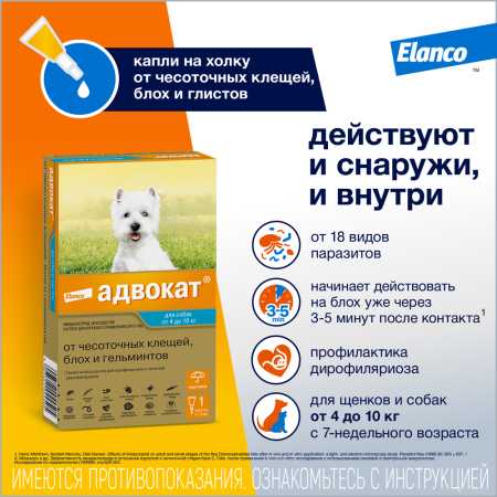 Капли от блох, чесоточных клещей и гельминтов Адвокат ® для собак 4-10 кг. 1 пип. в упак. фото Капли от блох, чесоточных клещей и гельминтов Адвокат ® для собак 4-10 кг. 1 пип. в упак.