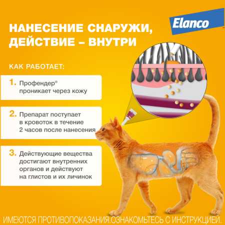 фото Препарат от глистов Elanco Профендер ® для кошек от 5 до 8 кг. 2 пипетки х 1,12 мл