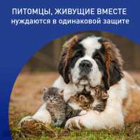 10-123633-preview