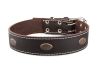 Ошейник однослойный с украшениями, ширина 45 мм.