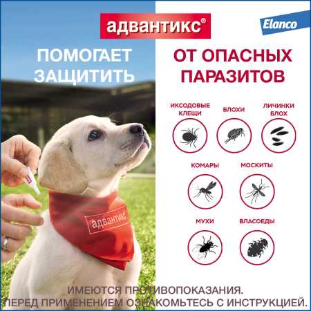 Капли от клещей и блох Elanco Адвантикс ® 40 для собак до 4 кг. 1 пипетка, в упаковке фото Капли от клещей и блох Elanco Адвантикс ® 40 для собак до 4 кг. 1 пипетка, в упаковке
