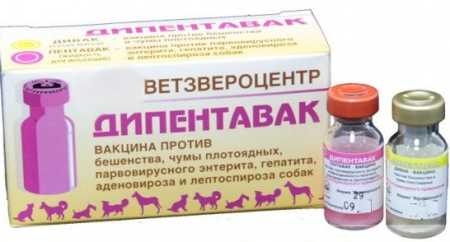 Дипентавак 5 доз, упаковка.