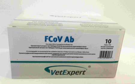 Тест одношаговый (ИХА) VetExpert FCoV Ab для выявления антител против коронавируса кошек /10 тестов