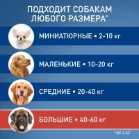 10-123639-preview