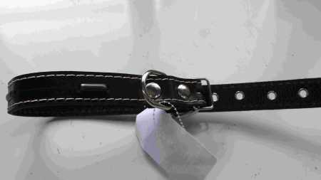 фото Ошейник однослойный украшенный, ширина 20 мм.