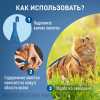 фото Фронтлайн Спот-он для кошек для защиты от клещей, блох в форме капель