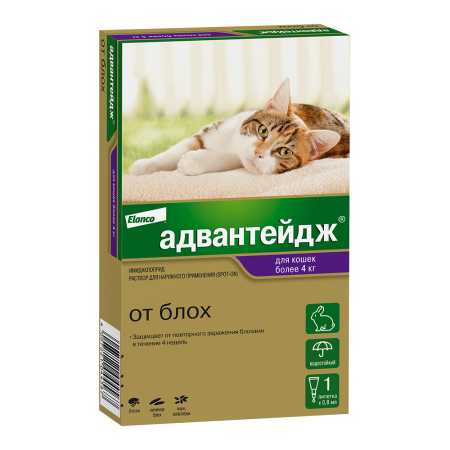 Адвантейдж ® 80 для кошек от 4 кг 1 пипетка, в упаковке