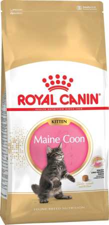 Royal Canin "Maine Coon Kitten", сухой корм для котят породы Мейн-кун, 400 г пакет