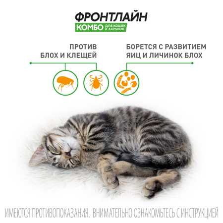 Фронтлайн Комбо для кошек и хорьков для защиты от клещей, блох в форме капель фото Фронтлайн Комбо для кошек и хорьков для защиты от клещей, блох в форме капель