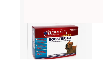Wolmar Winsome Pro Bio BOOSTER Ca  для собак крупных пород, 540 таб.