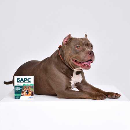 фото Ошейник от блох и клещей АВЗ Барс ® для собак крупных пород, 80 см