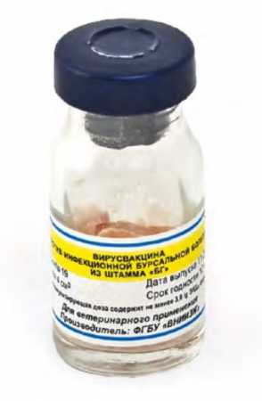 Вирусвакцина против инфекционной бурсальной болезни из штамма “БГ” флакон, 1000 доз